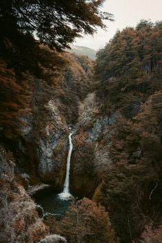 an aerial view of a waterfall in the middle of a forest with lots of trees