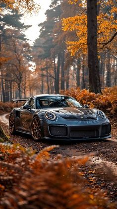 a grey sports car parked on a dirt road in the woods with autumn foliage around it