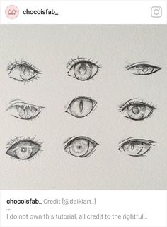 the different types of eyes are drawn in pencil on paper, and each one has an eye