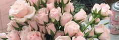 a bouquet of pink roses sitting on top of a table next to a spray bottle