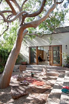 a house with a large tree in front of it and some chairs on the patio