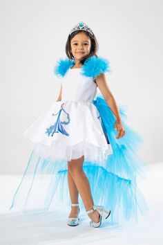 * The upper body of our Princess Elsa themed dress is made of high quality satin fabric and is lined. The back part of our product has window details, zippers and velcro. * There is a Princess Elsa image on the front and sides of the satin fabric used in the lower body. The skirt is embossed with crystal tulle in layers. There is a lining under the tulle skirt. The lining prevents the tulle from touching our children's bodies and increases their comfort. * The tail part of our product is velcro Blue Fairytale Princess Dress For Dress-up, Light Blue Princess Gown For Dress-up, Blue Princess Gown For Costume Party, White Princess Style Fancy Dress Costume, Blue Fairytale Princess Dress For Costume Party, Blue Disney Dress For Costume Party, Blue Princess Style Dress For Costume Party, Blue Princess Pageant Dress, Blue Princess Style Pageant Dress