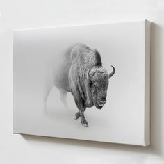 a black and white photo of a bison in the snow on a canvas mounted to a wall