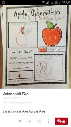 an apple observation poster with pictures of the parts of an apple and how many seeds are in it