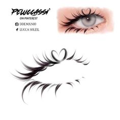 an eye with long eyelashes and the words pelicasia on it, in black ink