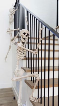 a skeleton is walking down the stairs