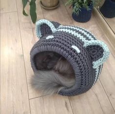 a cat in a crocheted hat on the floor