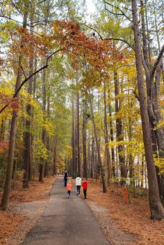 three people walking down a path in the woods on a fall day with colorful leaves