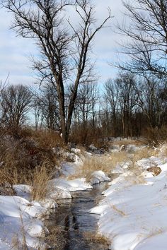 a small stream running through a snow covered field