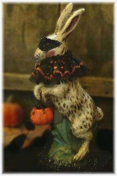 a white and black rabbit wearing a dress holding a pumpkin in it's mouth