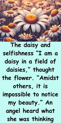 an image of daisies with the words,'the daisy and selfishness i am a