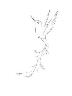 a drawing of a hummingbird flying in the sky