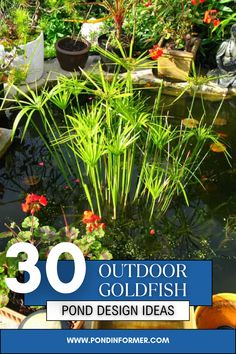 an outdoor pond with plants and flowers in the background text overlay reads 30 outdoor goldfish pond design ideas