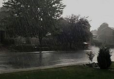 an image of a rain storm coming in from the ground and trees on the street