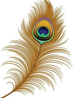 peacock feather on white background with clipping for the word's logo or emblem