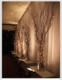 three tall vases with branches in them are lined up against the wall, along with lights and drapes