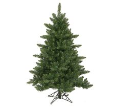 a small pine tree is shown on a white background