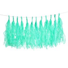 some blue feathers hanging from a line on a clothes line, with one string in the middle