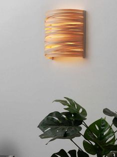 a light that is on the side of a wall next to a potted plant