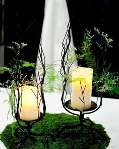 two lit candles sitting on top of a moss covered table