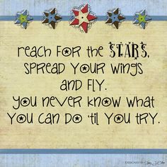 a sign that says reach for the stars, spread your wings and fly you never know what you can do til you try