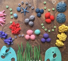 there are many different items made out of clay and seaweeds on the table