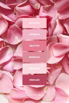 Rose Petals Color Palette Inspo Berry Pink Color Palette, Dark Rose Color Palette, Comfort Color Palette, What Color Goes With Pink, Pink Pallets, Pink Palette Color, Coquette Color Palette, Roses Color Palette, Girly Color Palette