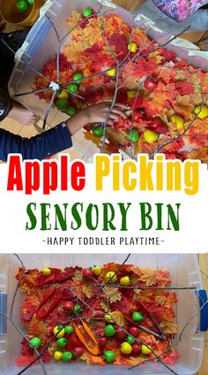 an apple picking activity for toddlers to play with