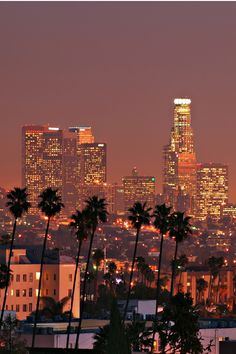 the city skyline is lit up at night, with palm trees in front of it