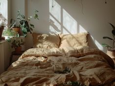 an unmade bed with lots of plants in the corner and sunlight coming through the window