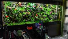 a living room filled with lots of different types of plants and animals in front of a large aquarium