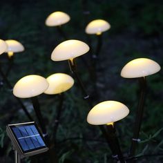 a bunch of lights that are on some kind of pole in the grass with one light turned on