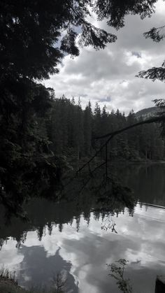 a body of water surrounded by trees and clouds