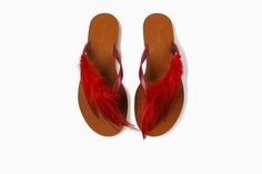 Toe-post sandal in scarlet suede calfskin and feathers 1 cm - Sandals Dior Toe Post Sandals, Womens Flip Flop, Scarlet