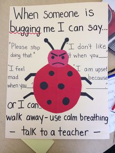 a ladybug poster with words written on it