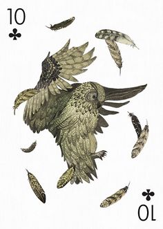 a playing card with an image of a bird flying through the air, surrounded by other birds