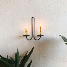 two candles are lit on the wall next to a potted plant