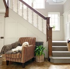 a dog is sitting in a chair next to the stairs