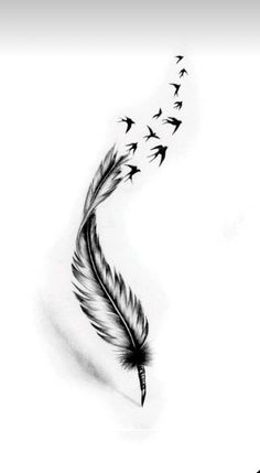 a black and white photo of a feather with birds flying around it