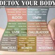 Shrink Tumors Naturally, Natural Antibiotics Bacteria, Caster Oil, Healthy Healing, Healthy Pantry, Resep Smoothie, Period Hacks, Alkaline Diet, Healthy Detox