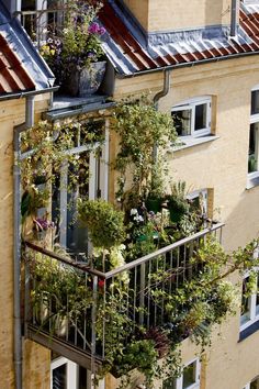 an apartment building with plants growing on the balconies and in the window boxes