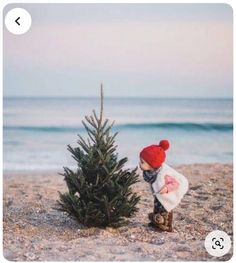 Florida Christmas Photoshoot, Christmas Beach Family Photo Ideas, Beach Xmas Photos, Christmas Photo Beach, Christmas Pictures At The Beach, Florida Christmas Pictures, Beach Family Christmas Photos, Christmas Family Beach Photos