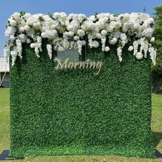 white flowers are growing on the side of a green wall