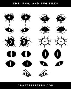 an image of eyes with different types of eyes and their parts in black on white