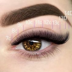 Russian Lash Extensions Mapping, Russian Lash Extensions, Russian Volume Eyelash Extensions, Russian Eyelash Extensions, Lash Maps, Eyelashes Tutorial, Lash Map, Lashes Volume