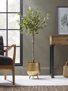 a potted plant sitting on top of a wooden table in front of a window