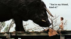 a woman standing on top of a wooden fence next to a black bull with long horns