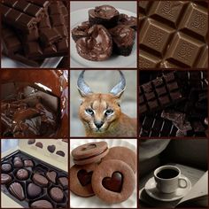 a collage of different chocolates and pastries