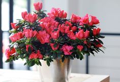 pink flowers are in a silver vase on a wooden table with white walls and windows