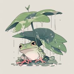 a frog sitting under a green leaf in the rain